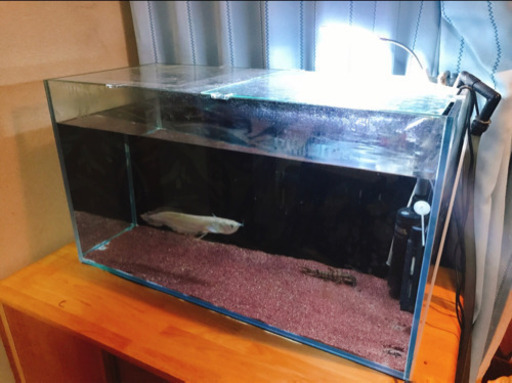 【決まりました】90cmガラス水槽 ろ過装置、ヒーター付き