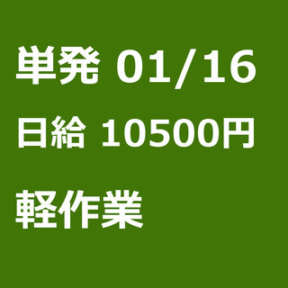 【急募】 01月16日/単発/日払い/港区:【面接無し◎】！大人...