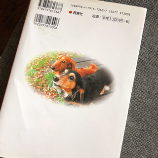 ダックスフンドの飼い方・しつけ・お手入れの画像