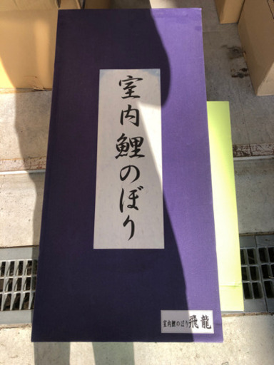 室内鯉のぼり