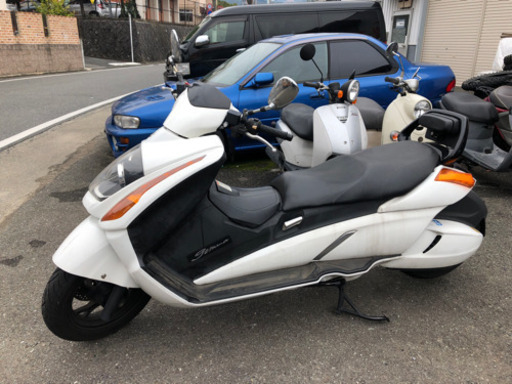 SUZUKI ジェンマ250 セル始動　福岡市南区