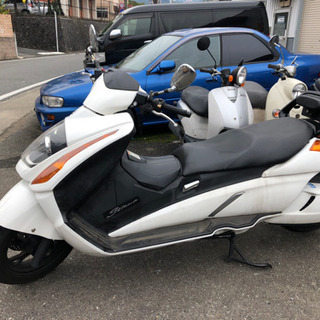 SUZUKI ジェンマ250 セル始動　福岡市南区