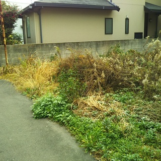🆕多目的貸土地/大分岩田/地主さんと交渉も賃貸保証も出来ます/費用0円プランもあります。 - 賃貸（マンション/一戸建て）