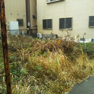🆕多目的貸土地/大分岩田/地主さんと交渉も賃貸保証も出来ます/費用0円プランもあります。 − 大分県