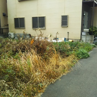 🆕多目的貸土地/大分岩田/地主さんと交渉も賃貸保証も出来ます/費用0円プランもあります。 - 不動産