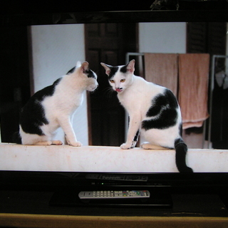 ◇取引終了 46型3Dプラズマテレビ VIERAパナソニックTH-P46VT2
