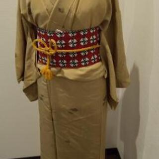単の名古屋帯+本柄小紋のセット