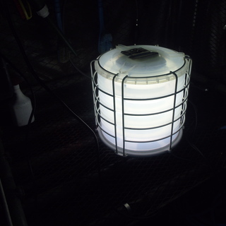 サークルライト　100V　♪バルーン投光器アウトドアキャンプBBQ昆虫採集の画像