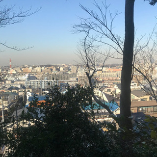 登山初心者です。一緒に初登山してくれる人募集