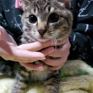 急募  【受付終了】