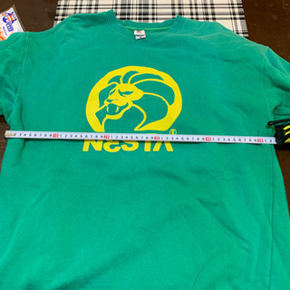 ネスタ トレーナーの画像