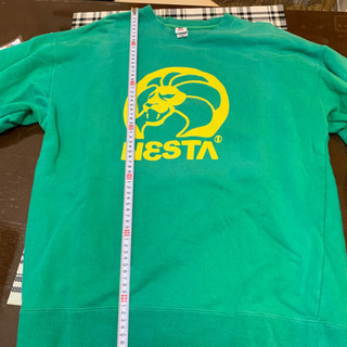 ネスタ トレーナーの画像