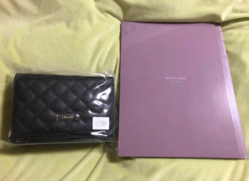 安室奈美恵 バッグ パンフレット ウォレットショルダーバッグ Finally