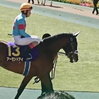 2020.2.23東京競馬場 レース観戦🐎💴 - 府中市