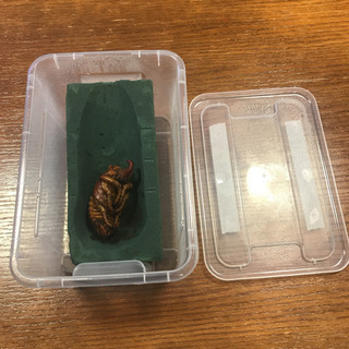 届いて5分で使えるDHヘラクレスオオカブトなどの大型外国産カブトムシ用の人工蛹室と専用ケースセット！！の画像