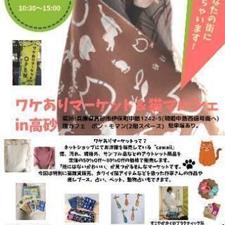 猫カフェで、骨盤調整の体験☆