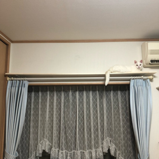 キャットウォーク  カーテンボックス   猫  ねこ  ネコ  キャットタワー