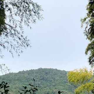 【女性限定】1月19日(日)神社仏閣めぐりが好きな方・興味がある...