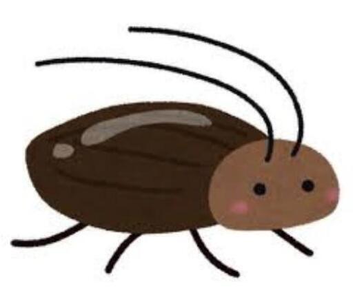 爬虫類、両生類、大型魚の餌に！デュビア SS～成虫 約370匹まとめて