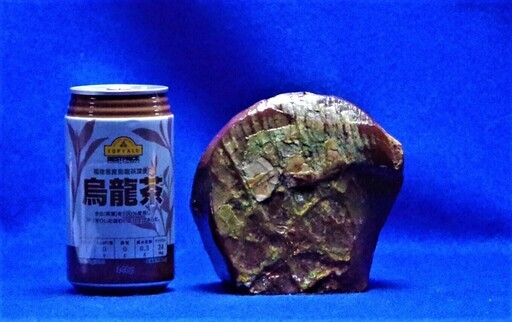 1.9ｋｇ！アンモライト (ammolite) カナダ産アンモナイト化石