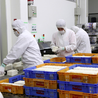 【食品配送ドライバー】地域の給食センター・学校へ食材をお届けします【普通・中型ドライバー】の画像