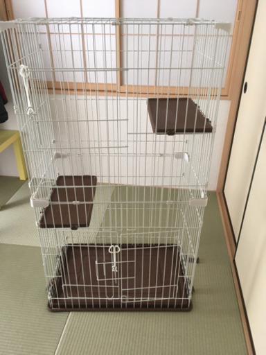 決定済　マルカン　キャットゲージ