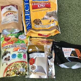 ハリネズミ飼育セットの画像