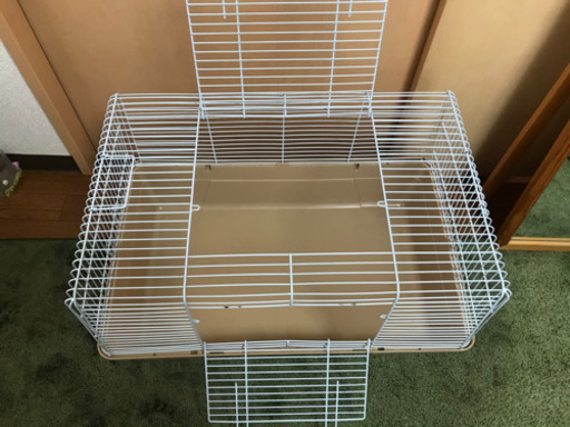 ハリネズミ飼育セット