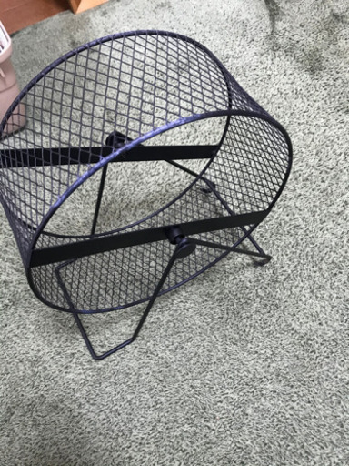 ハリネズミ飼育セット