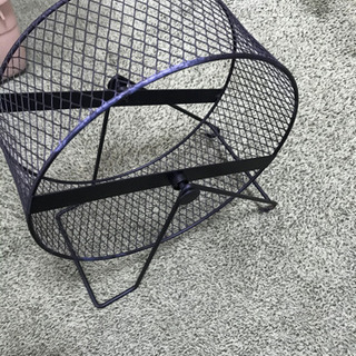 ハリネズミ飼育セットの画像