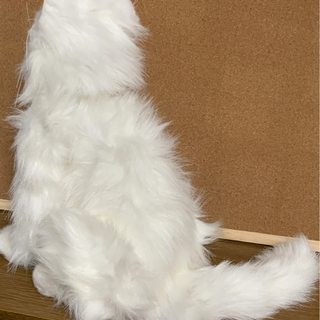 ゴロゴロいう猫（おもちゃ）動ける鳴ける！の画像
