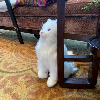 ゴロゴロいう猫（おもちゃ）動ける鳴ける！の画像
