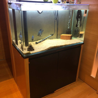 90cmオーバーフロー水槽 フルセット