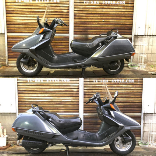 新春初売りSALE!! フュージョン 実動！セル1発！純正ロングスクリーン！安心のフルノーマル！