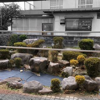 庭石　好みの形をどれでもお選びください！