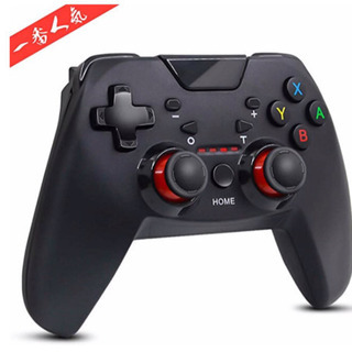 Nintendo Switch  ワイヤレス コントローラー 