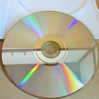 ☆Wii/動物奇想天外 謎の楽園でスクープ写真を激写せよ◆カメラを持ってあの島へ行こうの画像