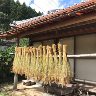 山村ボランティア募集