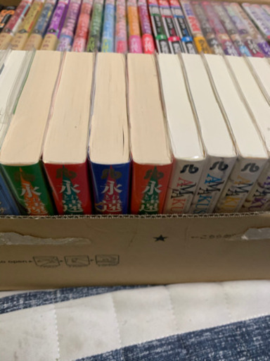 1/19本日引き渡し限定。赤石路代48冊セット