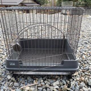 ウサギゲージ