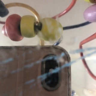 名前はわかりませんが…の画像