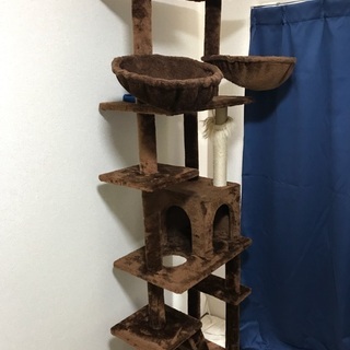 キャットタワーの画像