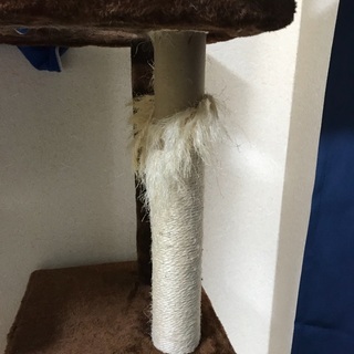 キャットタワーの画像