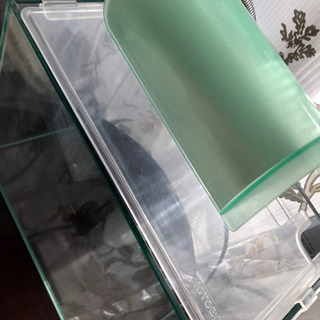 ◉kotobuki水槽7点セット◉の画像