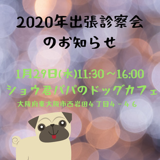 1／29（水)ショウ君パパのドッグカフェさん出張診察会