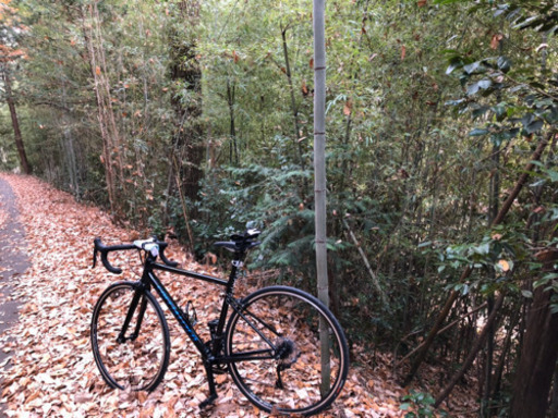 ロードバイク　スペシャライズド　値下げ