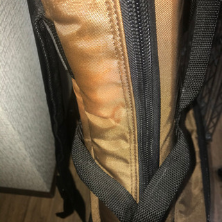 1802T エレキギター、Nazcaセミハードケース、スタンドの画像