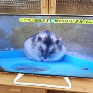 液晶テレビ 40型 2016年製 シャープ LC-40W35B LED AQUOS（アクオス） 40V 40インチ SHARP ペイペイ対応 札幌市西区西野