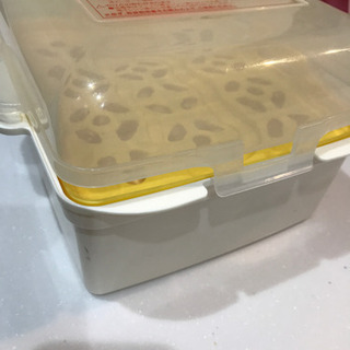 哺乳瓶レンジで消毒の画像