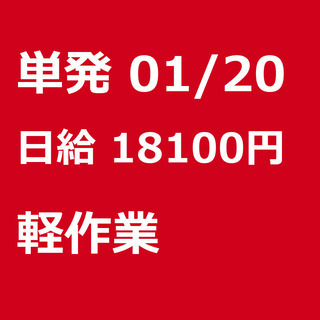 【急募】 01月20日/単発/日払い/大田区:【急募】男女可/1...